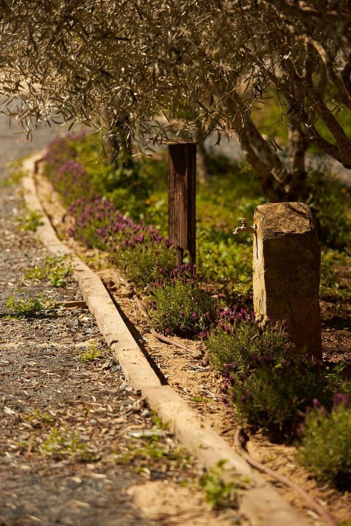Quinta Do Marmeleiro - Casa Marmeleiro Villa Santiago do Cacem Ngoại thất bức ảnh
