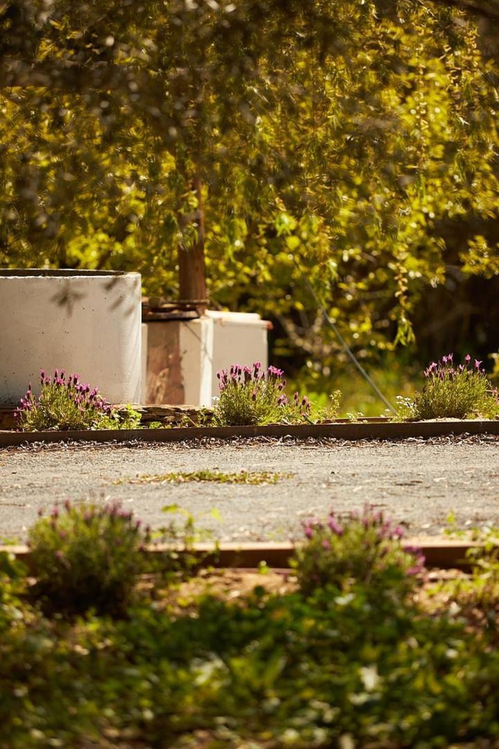 Quinta Do Marmeleiro - Casa Marmeleiro Villa Santiago do Cacem Ngoại thất bức ảnh